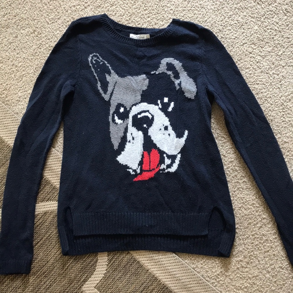 Abercrombie and Fitch dog sweater